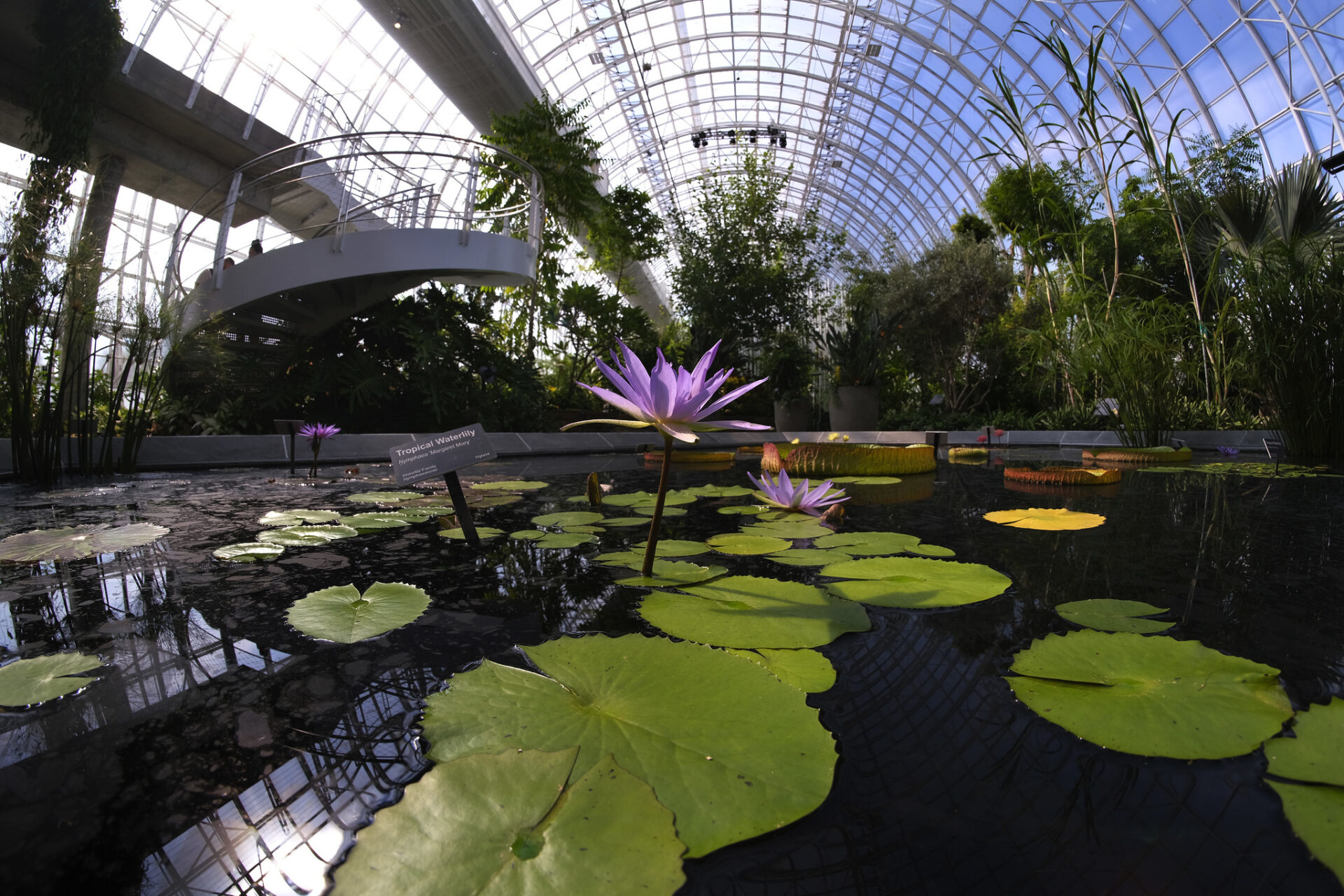 Crystal Bridge Myriad Botanical Gardens