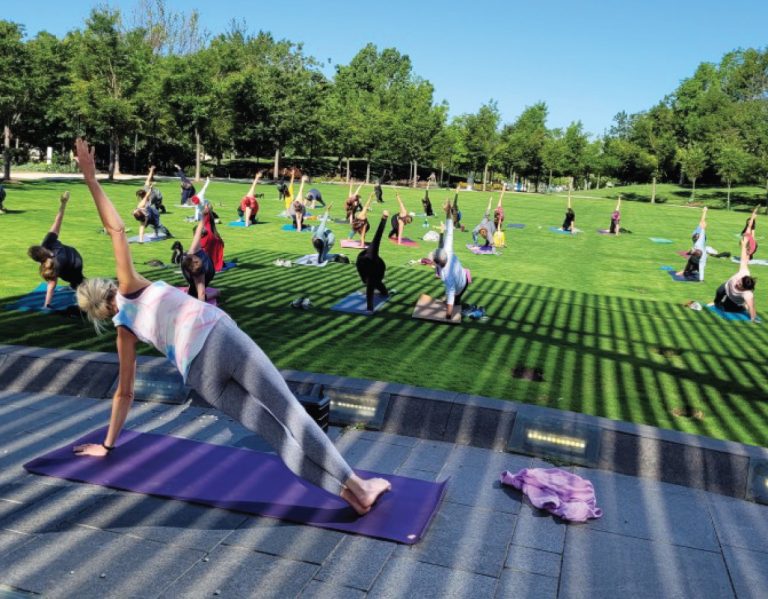 group of participants in yoga session outdoors
