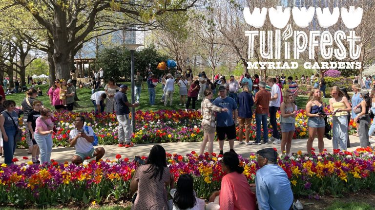 A crowd of people admiring and taking photos with colorful tulips at Myriad Gardens. A logo with the text, Tulip Fest Myriad Gardens is in the top right corner of the image.