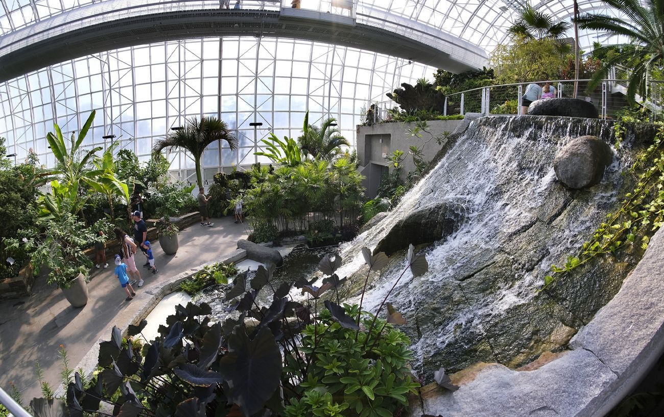 Crystal Bridge - Myriad Botanical Gardens